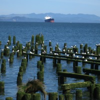 Where the Columbia River Meets the Pacific Ocean ~ Astoria, OR