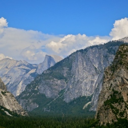 Yosemite National Park ~ CA