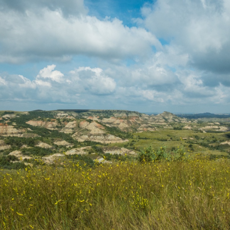 Theodore Roosevelt National Park ~ ND