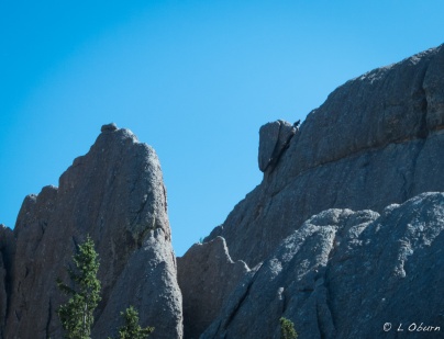 I spy a rock climber!