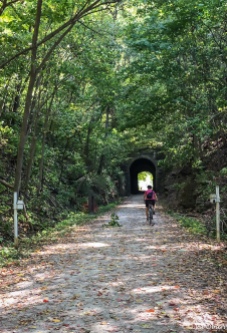 Wooded tunnel along the Katy Trail.
